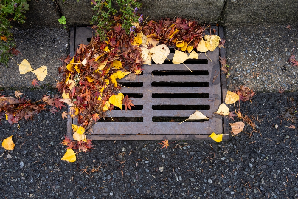 Why Proper Drainage is Crucial for Asphalt Longevity